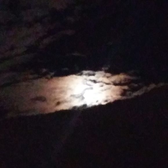 Meet your Posher, Michael - Picture 1 of 1